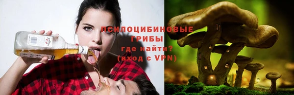 каннабис Белокуриха