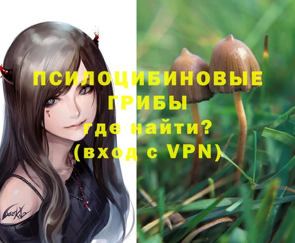 спиды Богданович
