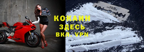 каннабис Белокуриха