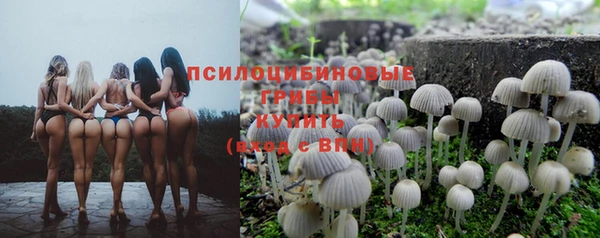 хмурый Белоозёрский