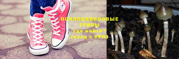 каннабис Белокуриха