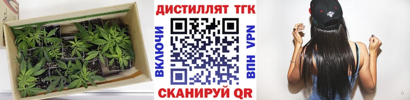 закладки Томари Дистиллят ТГК Wax