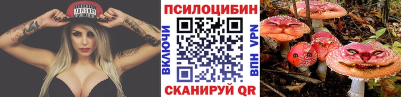 Галлюциногенные грибы Psilocybe  Томари 
