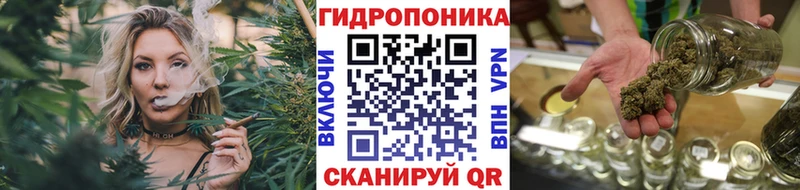 Канабис сатива Томари
